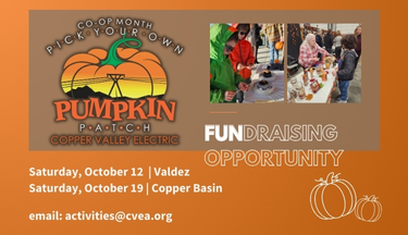 Pumpkin Patch Nonprofit Fudraisers